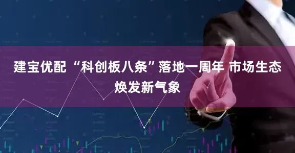 建宝优配 “科创板八条”落地一周年 市场生态焕发新气象