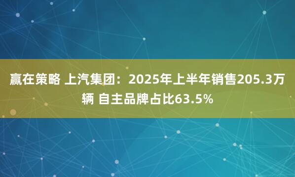 赢在策略 上汽集团：2025年上半年销售205.3万辆 自主品牌占比63.5%